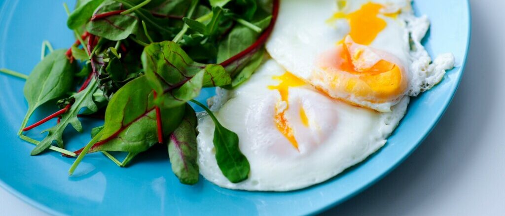 plate salad eggs