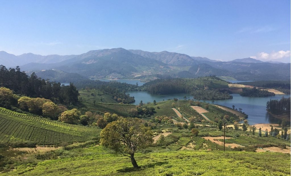 Travel India - Green pasture scenery