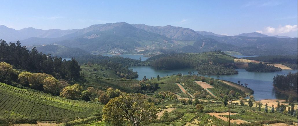 Travel India - Green pasture scenery