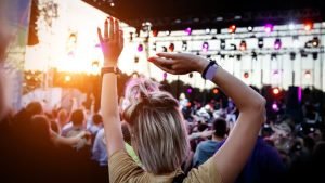 Crowd in a music festival