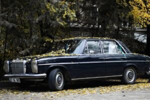 old vehicule - a-mercedes-benz-w114-parked-under-autumnal-trees